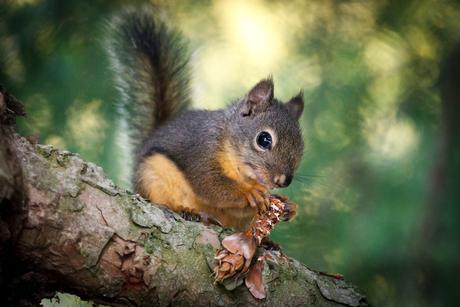 Profilový obrázek přednášejícího